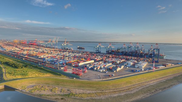 Spacious container port with cranes and ships on the shore of a calm sea.