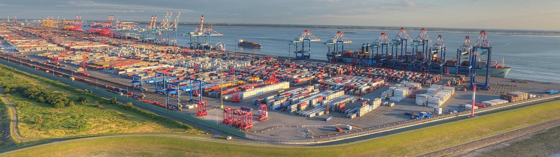 Spacious container port with cranes and ships on the shore of a calm sea.