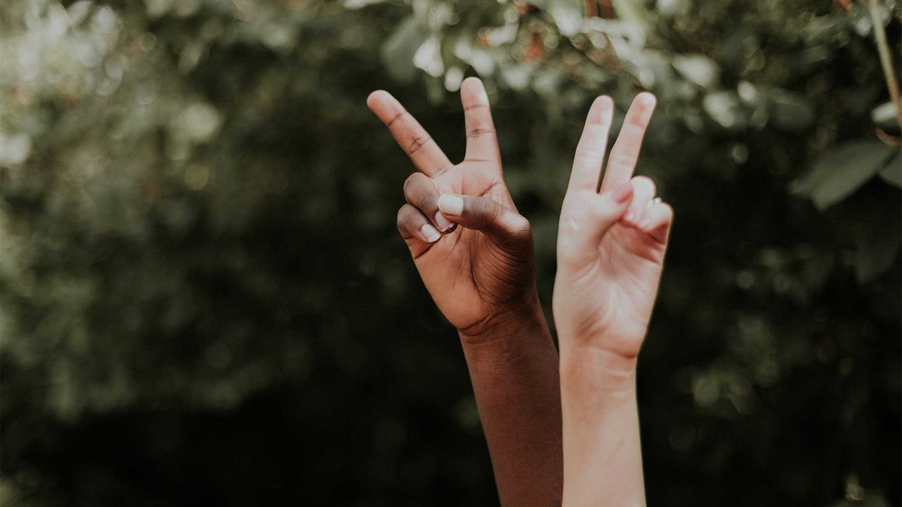 Two hands of different people show the peace sign against a blurred green background.