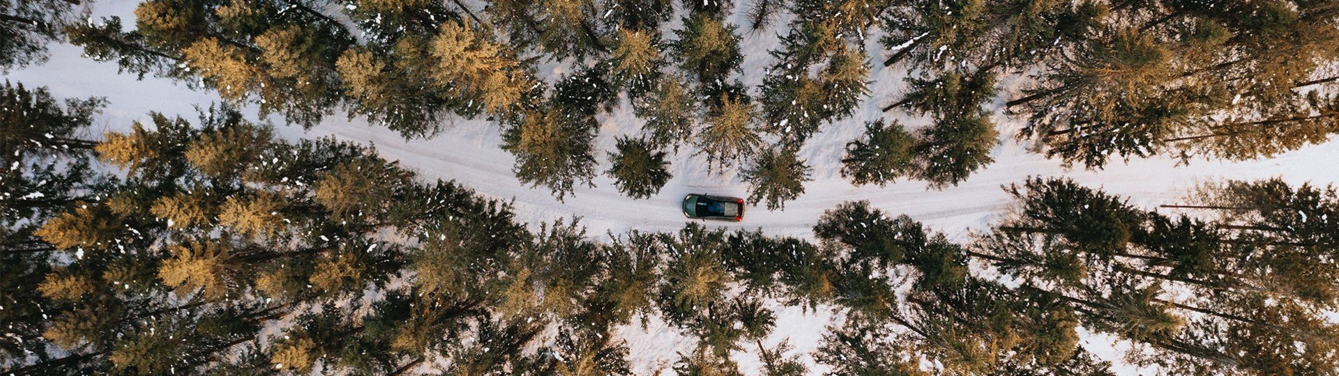 Aerial view of a car on a snow-covered road between tall forest trees. 
