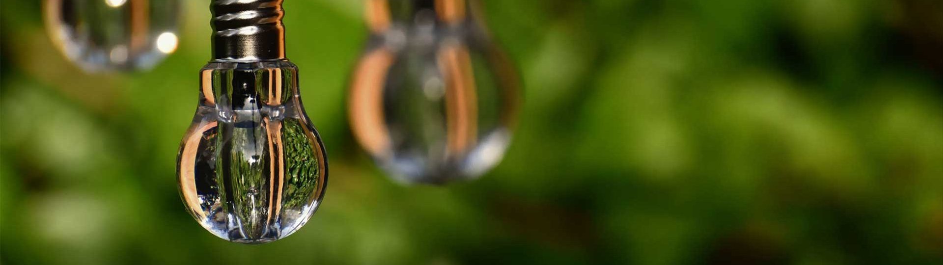 Light bulbs on a string in front of a green, blurred background in a natural setting.