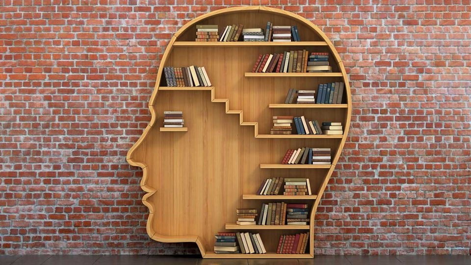 Creative head-shaped bookshelf in front of a brick wall, filled with books.
