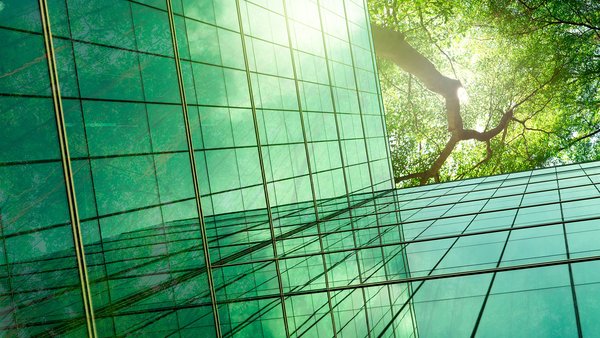 Glass building with tree reflections and sunlight, symbolizing sustainability in architecture.